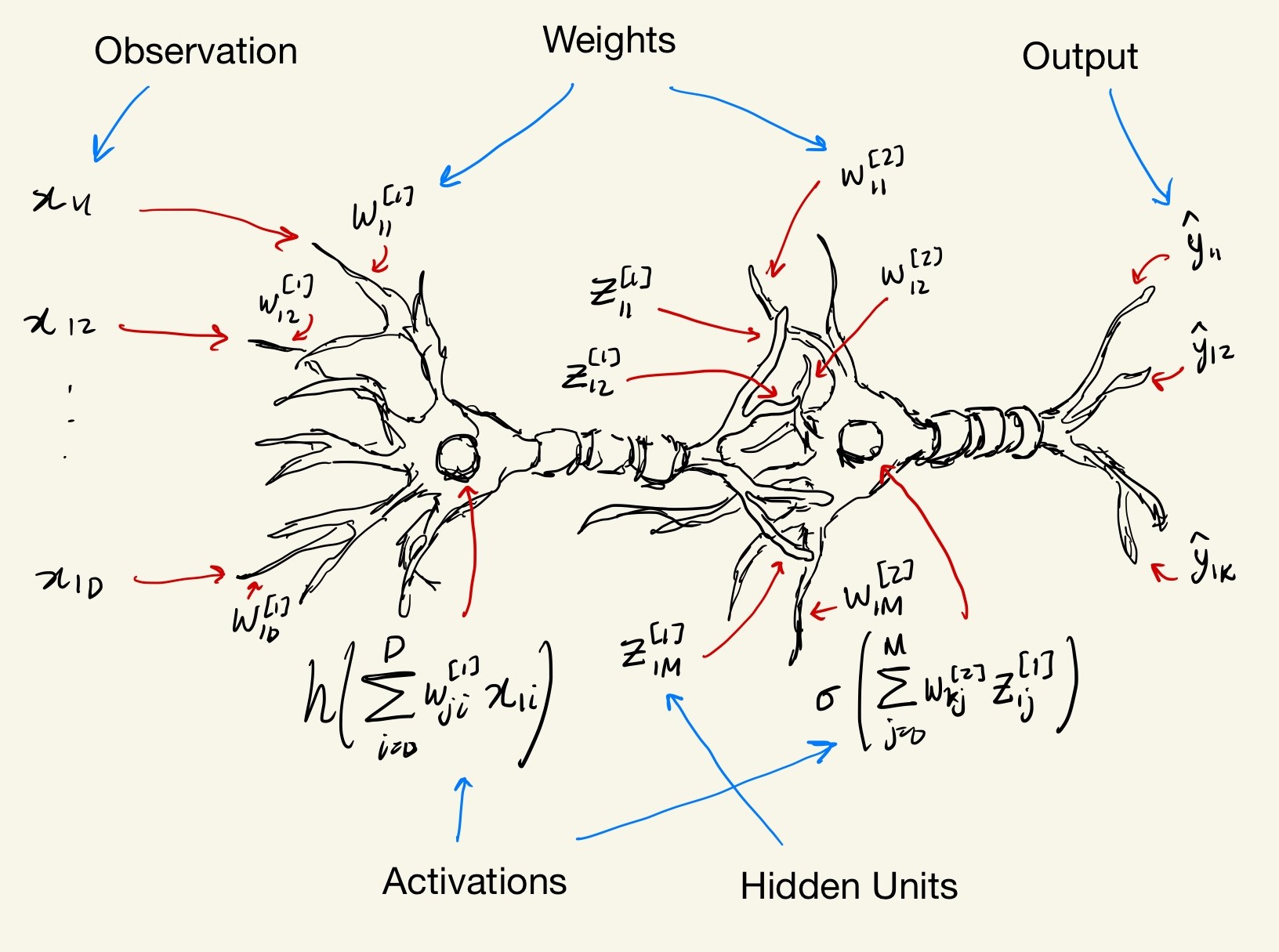 Neural network diagram.